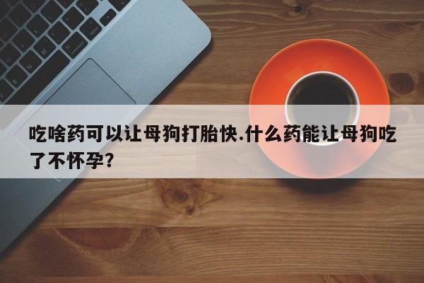 米非司酮片哪里有买吃啥药可以让母狗打胎快.什么药能让母狗吃了不怀孕？